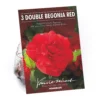 None Begonia - Red - Summer Bloom Bulbs