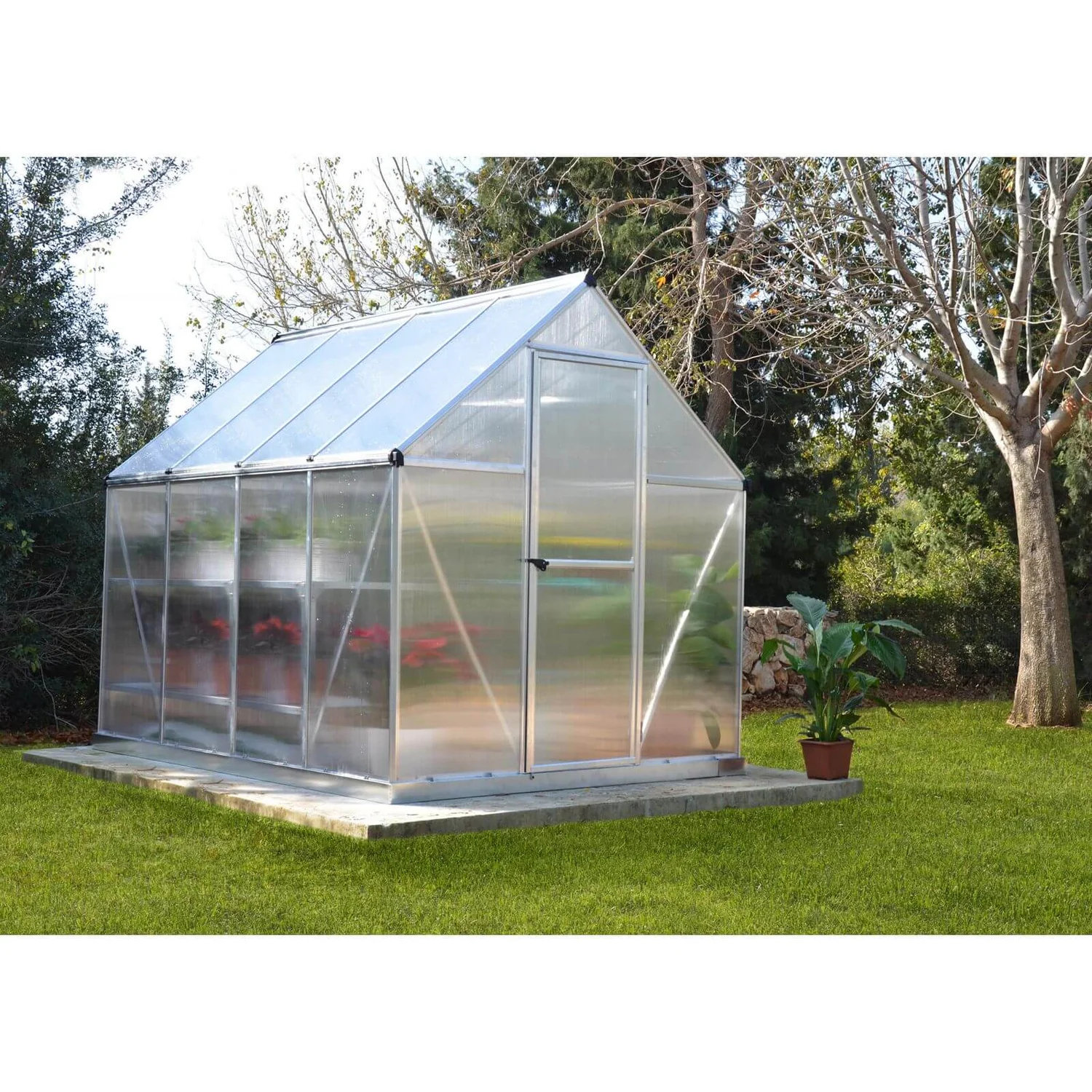 Palram 6 X 8ft Canopia Mythos Greenhouse - Silver - Image 4