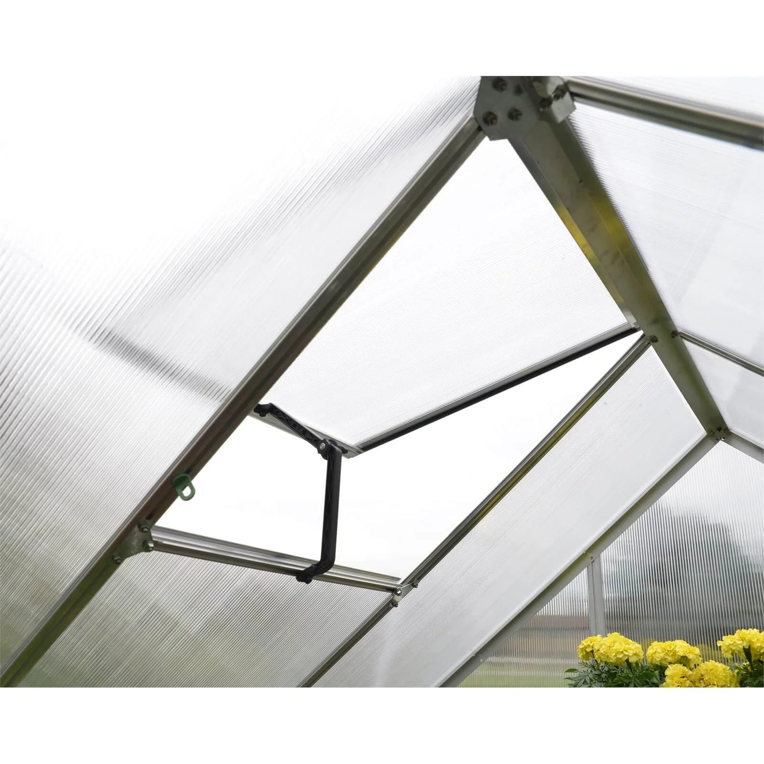 Palram 6 X 8ft Canopia Mythos Greenhouse - Silver - Image 8