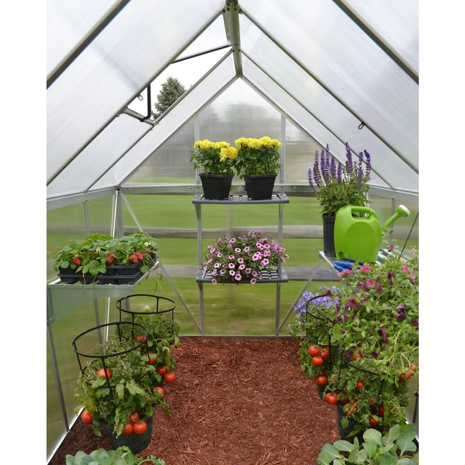 Palram 6 X 8ft Canopia Mythos Greenhouse - Silver - Image 9