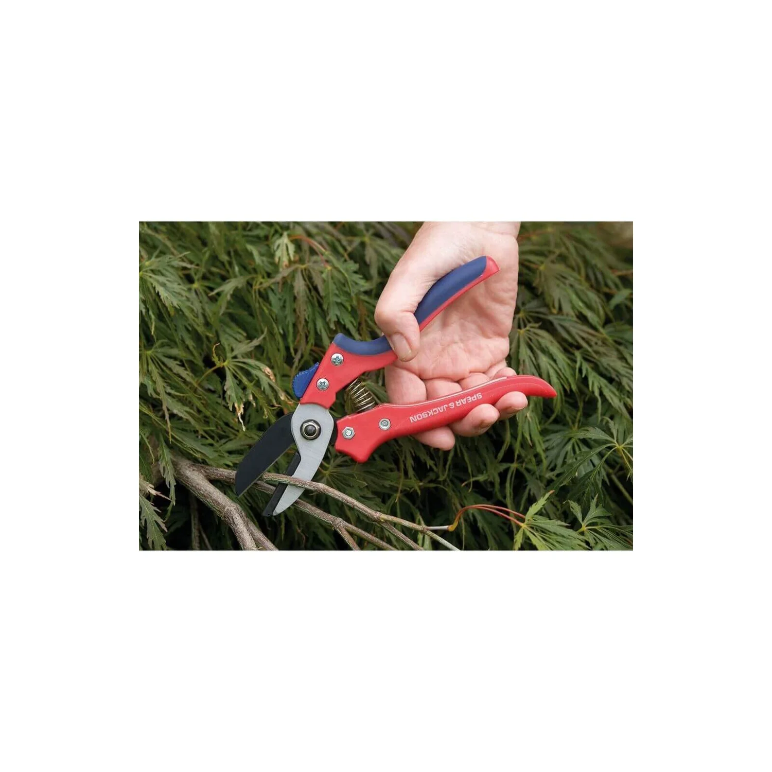 Spear & Jackson Razorsharp Medium Anvil Secateurs - Image 3