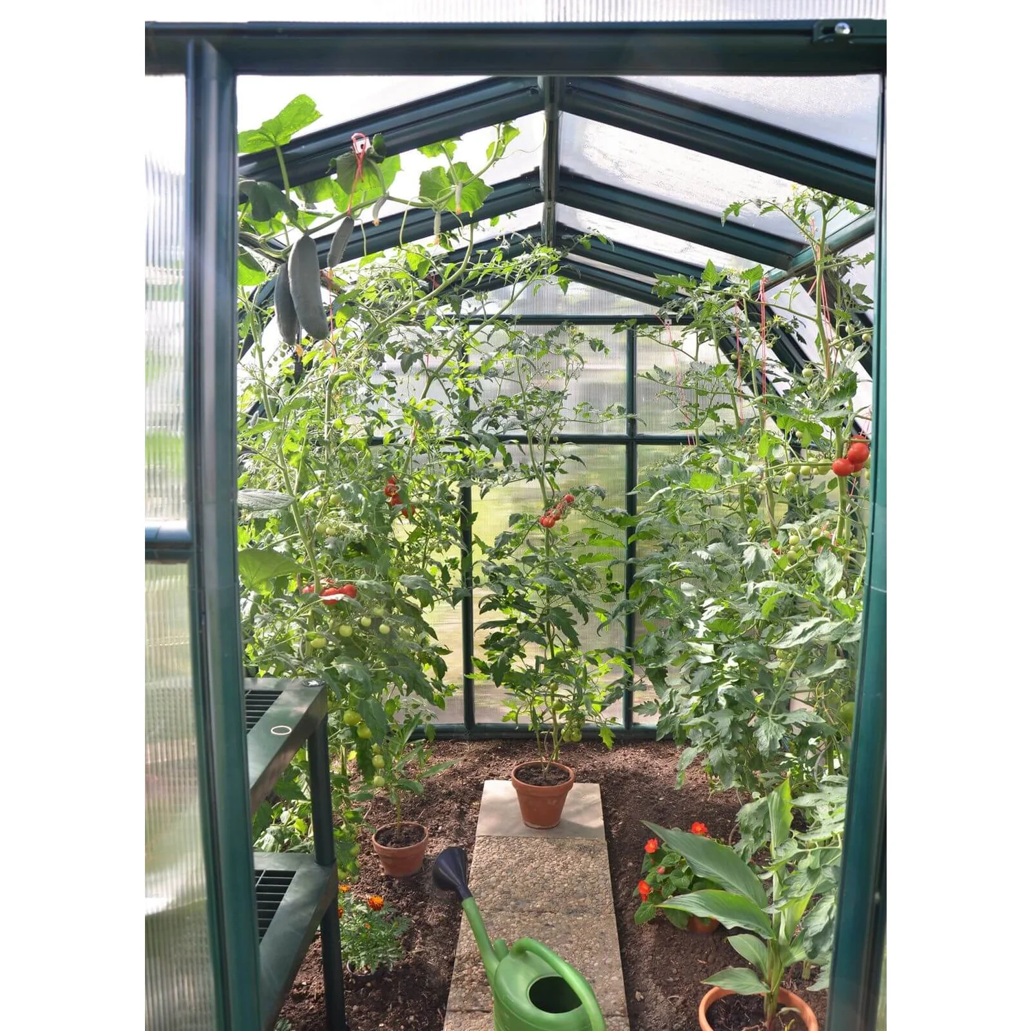 Palram 6 X 8ft Canopia Eco Grow Greenhouse - Green - Image 10
