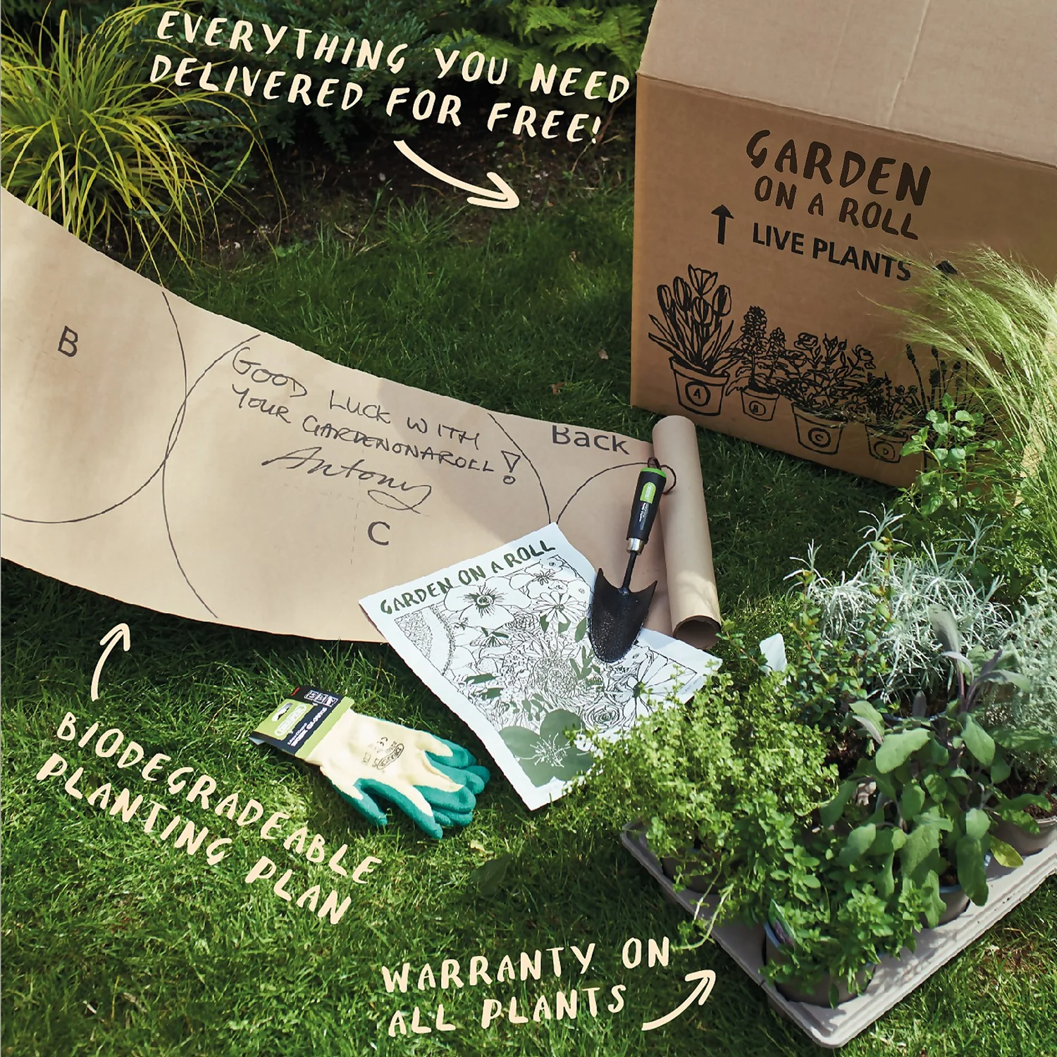 Sunny Border Collection - 3m X 60cm - Image 7