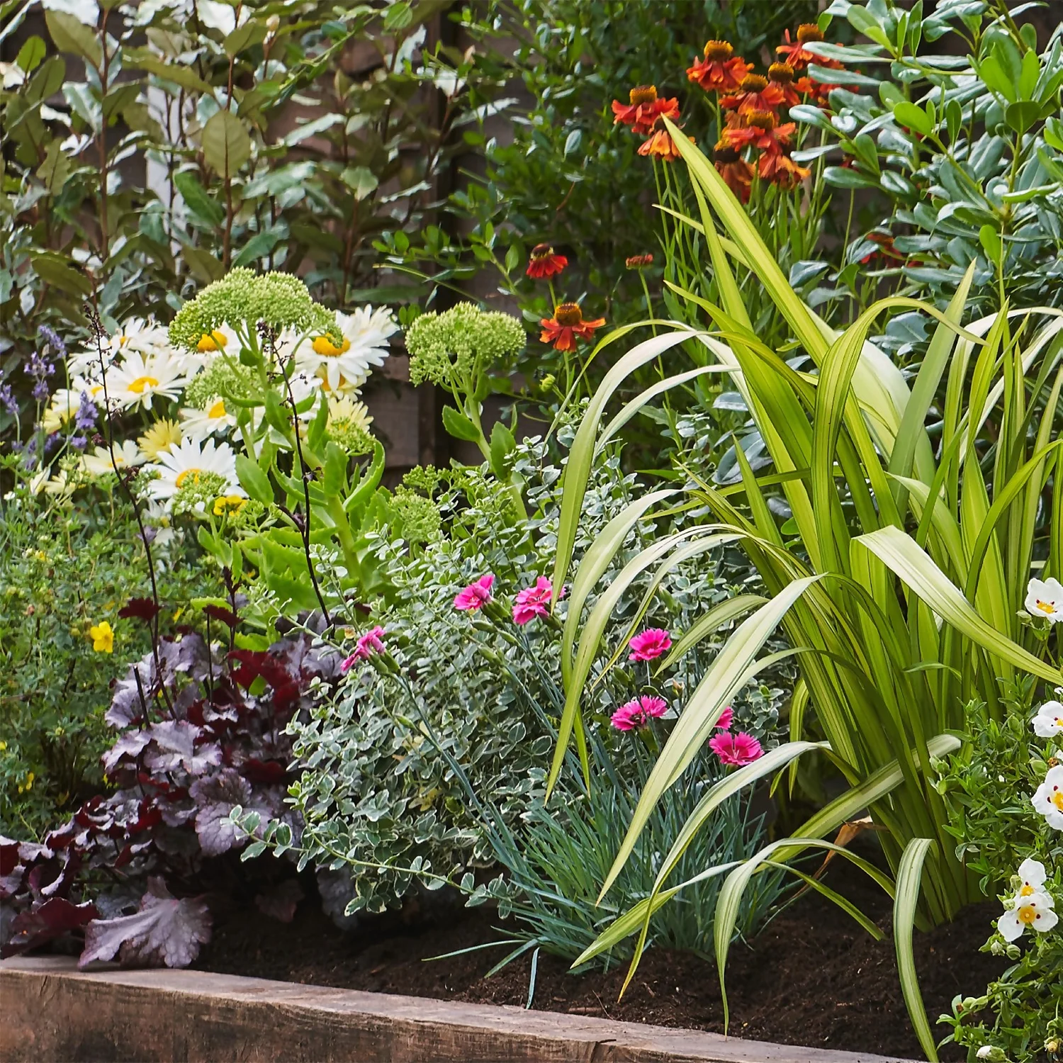 Sunny Border Collection - 3m X 60cm - Image 4