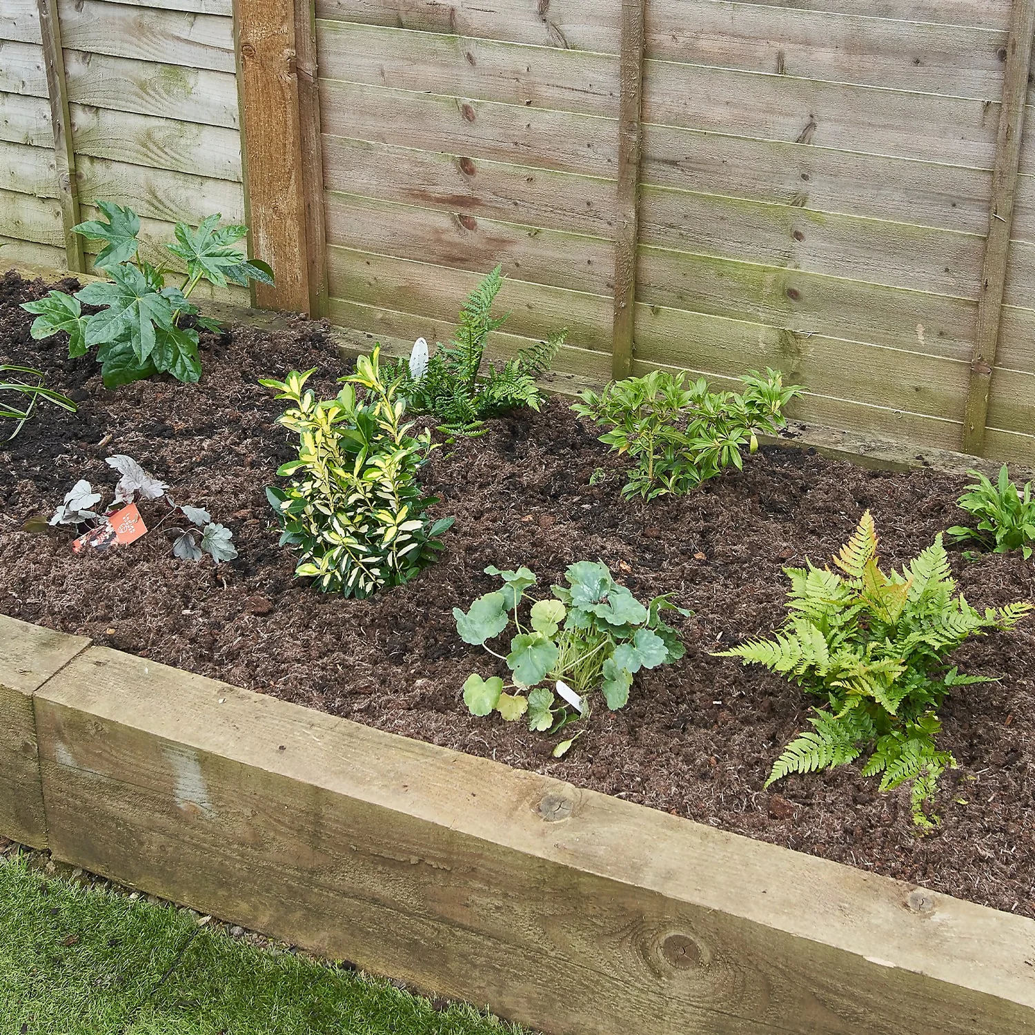 Shady Border Collection - 6m X 60cm - Image 3