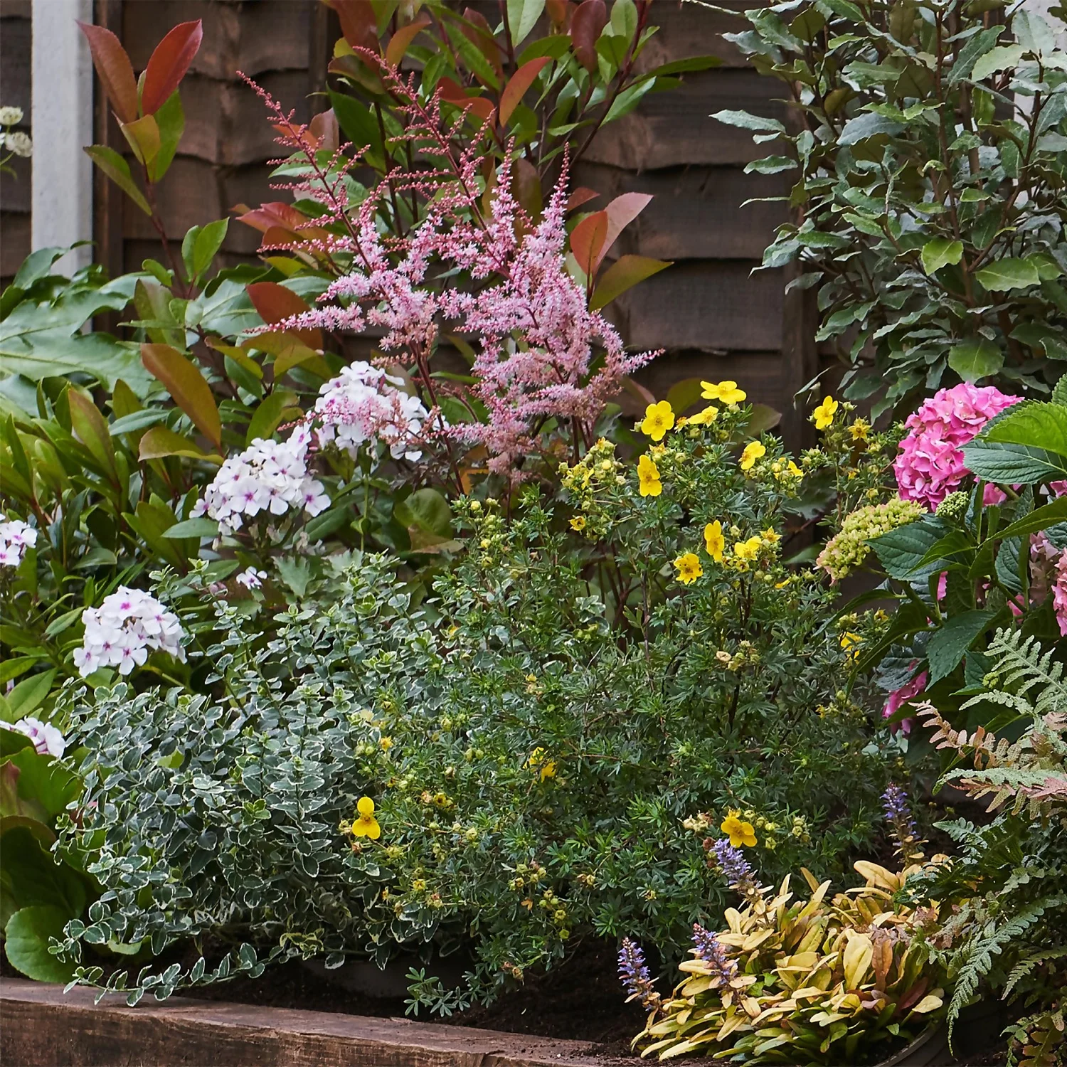 Shady Border Collection - 6m X 60cm - Image 4