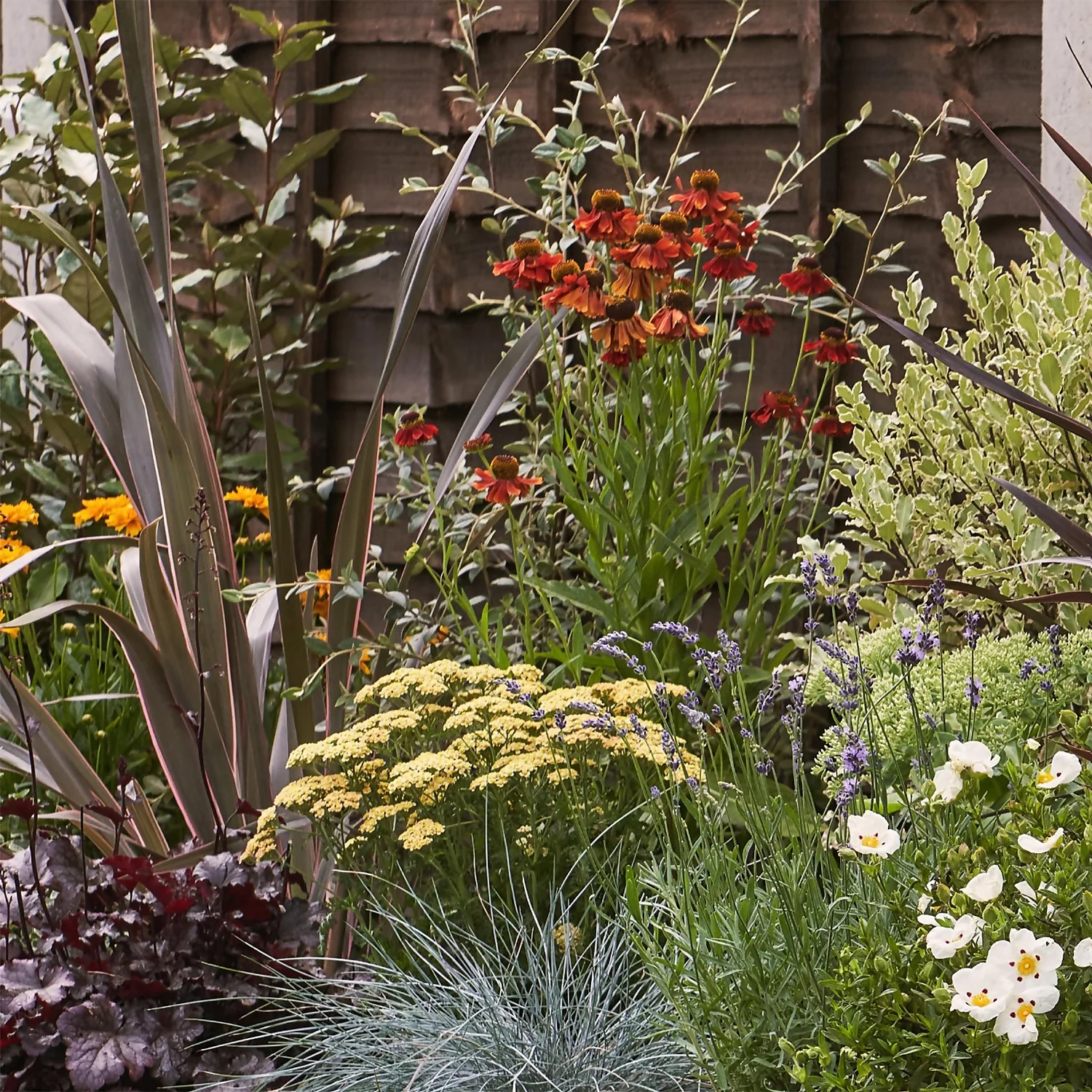 Mediterranean Border Collection - 6m X 90cm - Image 4