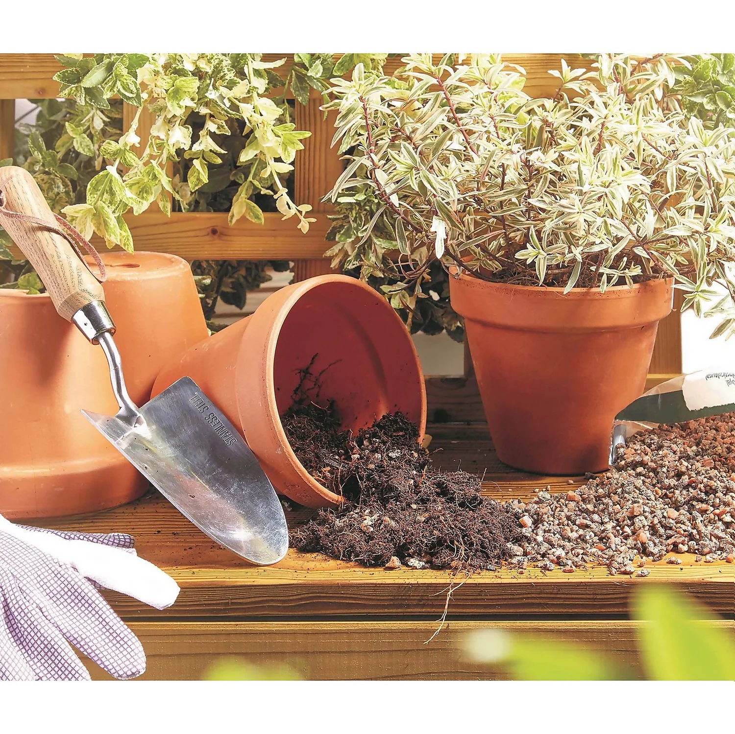 RHS Horticultural Sharp Sand Large Pack - 20kg - Image 4