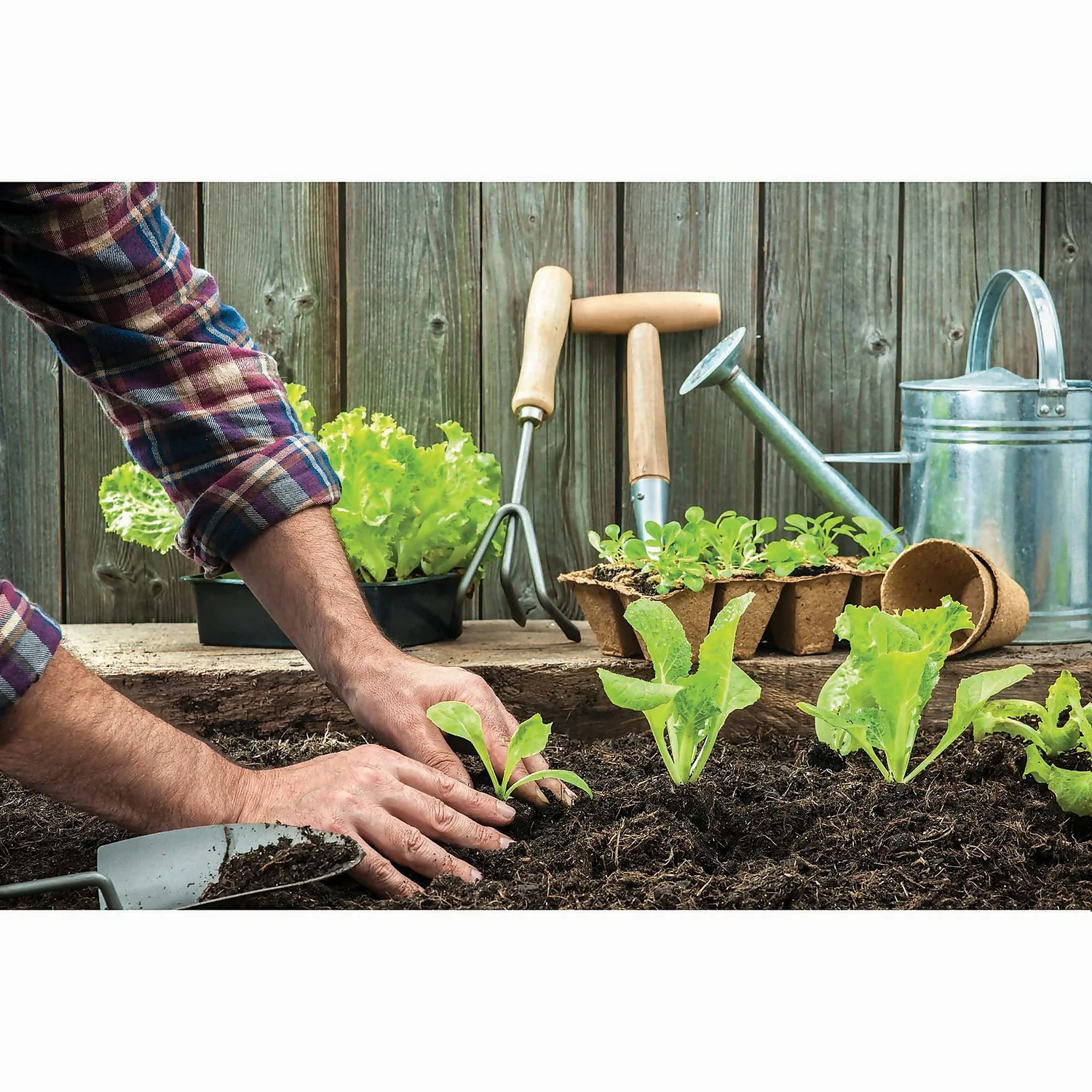 RHS Horticultural Sharp Sand Large Pack - 20kg - Image 3