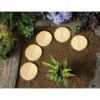 Stylish Stone Stepping Stone 300mm - Gold