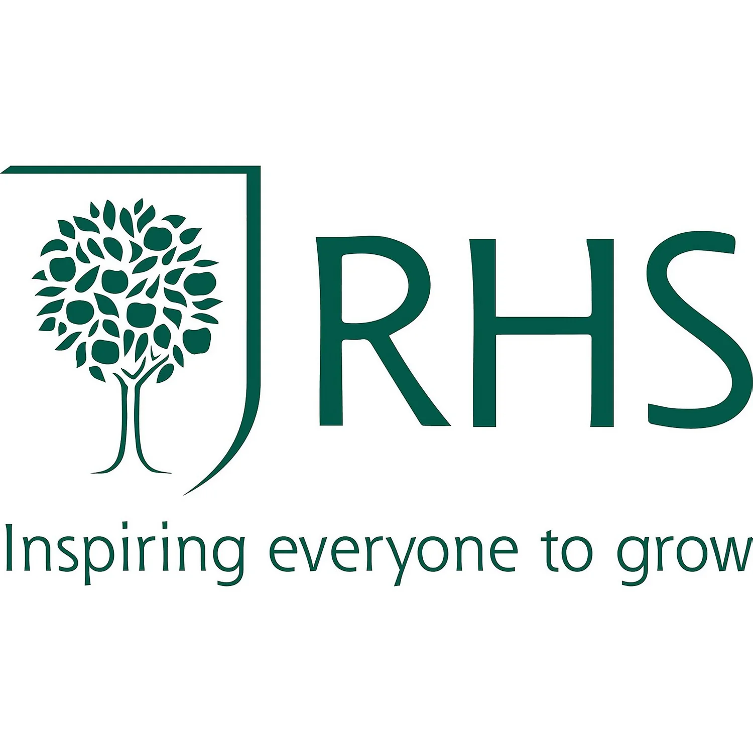 Stylish Stone RHS Horticultural Alpine Grit - Large Pack - Image 5