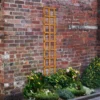 Heavy Duty Trellis - 30cm - Pack Of 10