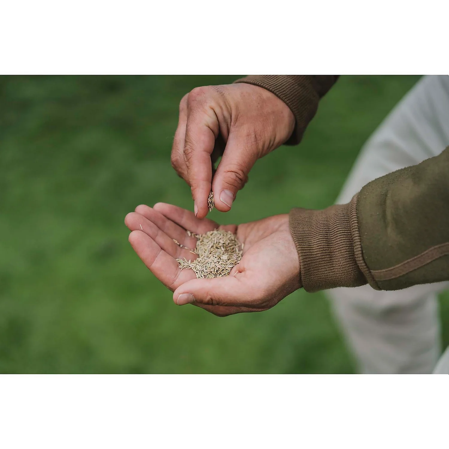 Gro-Sure Multi Purpose Lawn Seed - 13m² - Image 2