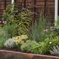 Sensory Border 10m X 40cm