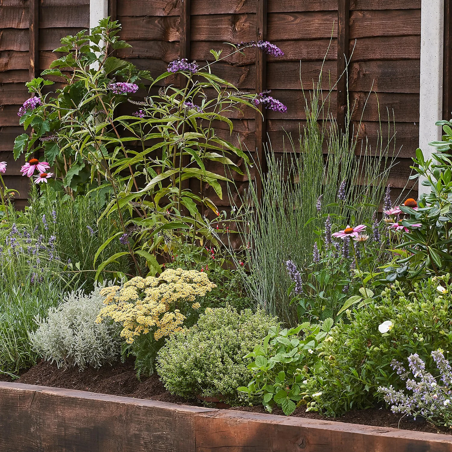 Sensory Border 10m X 40cm