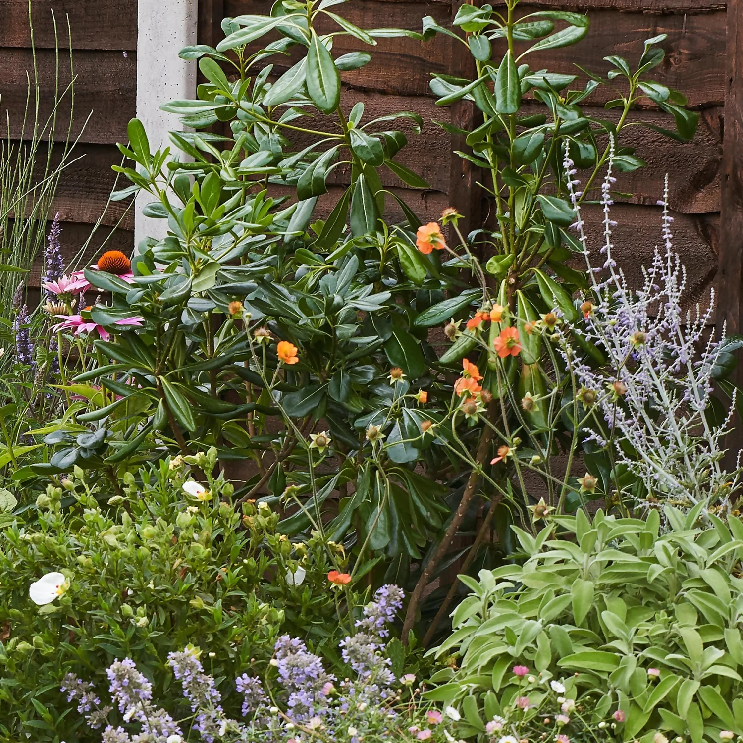 Sensory Border 10m X 40cm - Image 6