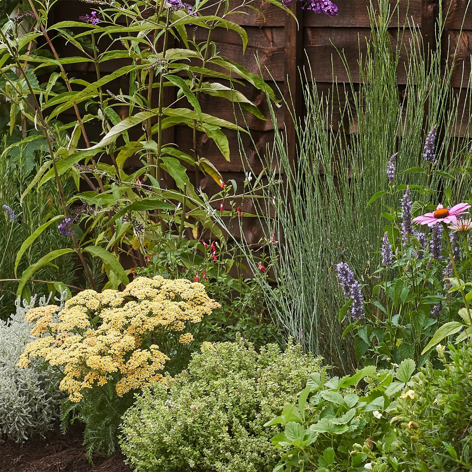 Sensory Border 10m X 40cm - Image 5