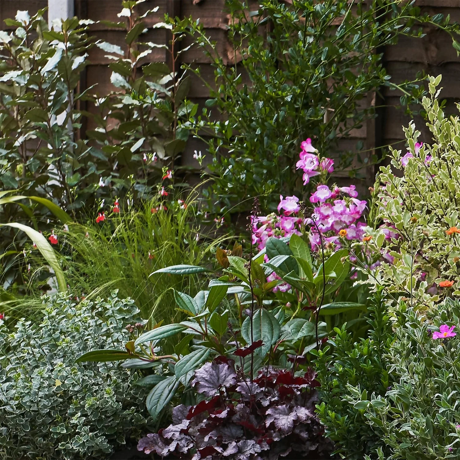 Garden On A Roll Eco Border - 10m X 60cm - Image 4