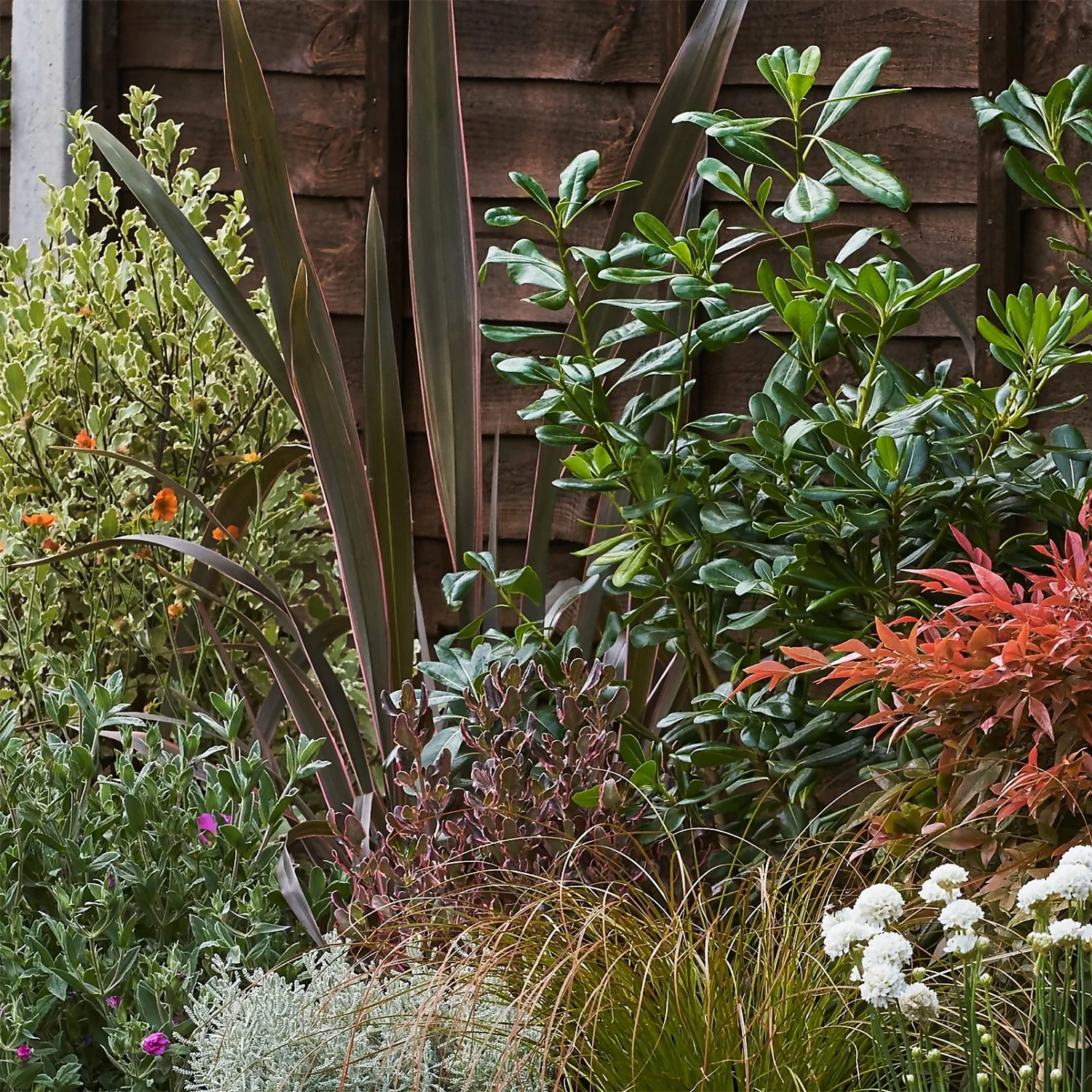 Garden On A Roll Eco Border - 10m X 60cm - Image 5