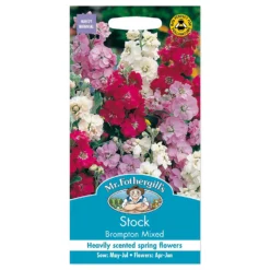 Mr. Fothergill's Stock Brompton Mixed Seeds