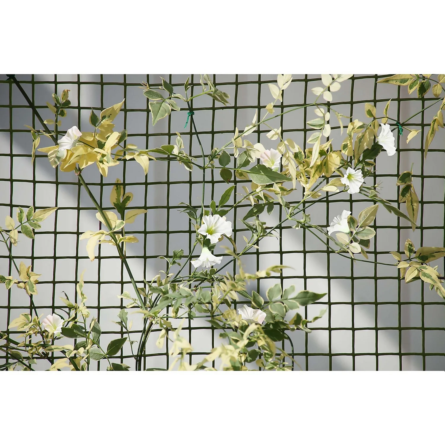 General Purpose Garden Mesh - Image 2