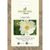 Country Living Cosmos Kiiro Seeds