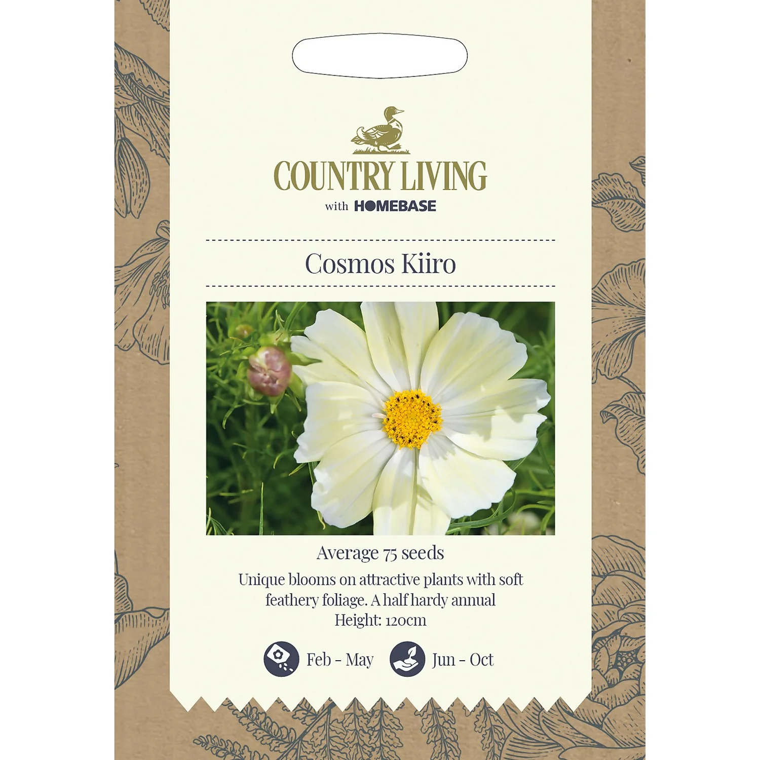 Country Living Cosmos Kiiro Seeds
