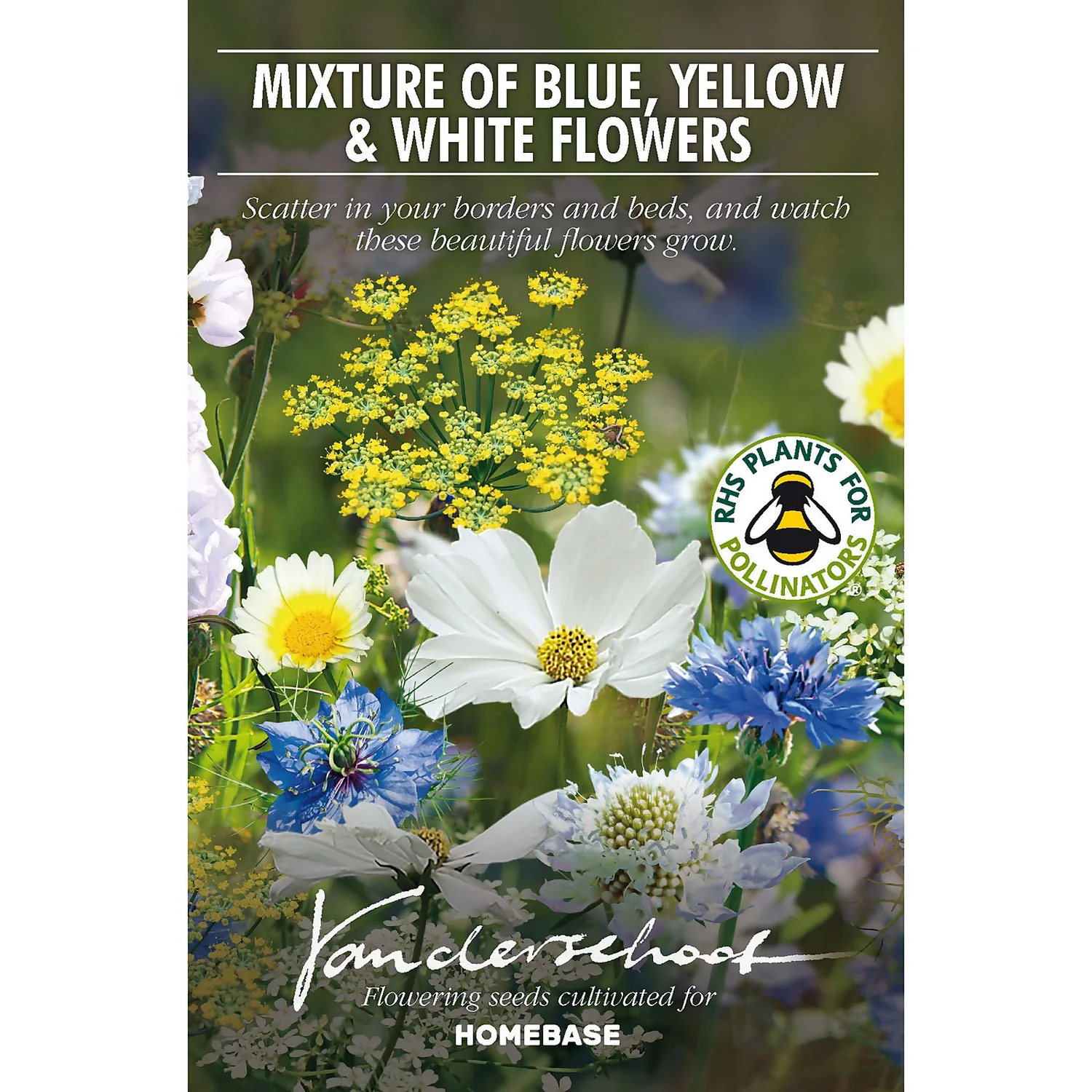 None Seed Mixture Of Blue, Yellow And White Flowers - Image 2