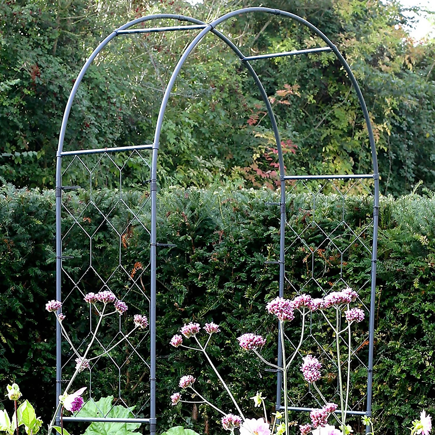 Agriframes Round Garden Arch - (H)2.1 X (W)1.2 X (D)0.45 M - Black - Image 2