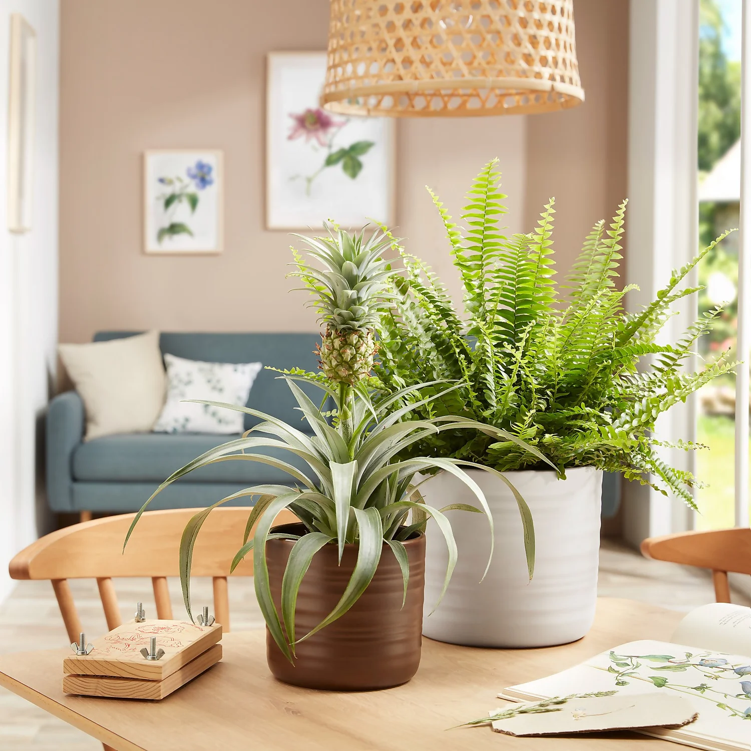 Scheurich Ripple Brown Indoor Pot - 17cm - Image 2