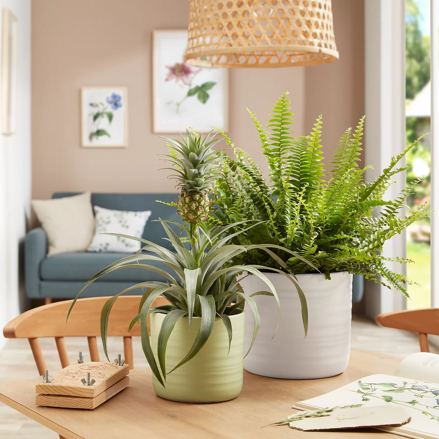 Scheurich Ripple White Indoor Pot - 12cm - Image 3