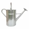 Galvanized Watering Can - 9L