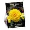 Begonia Double Yellow