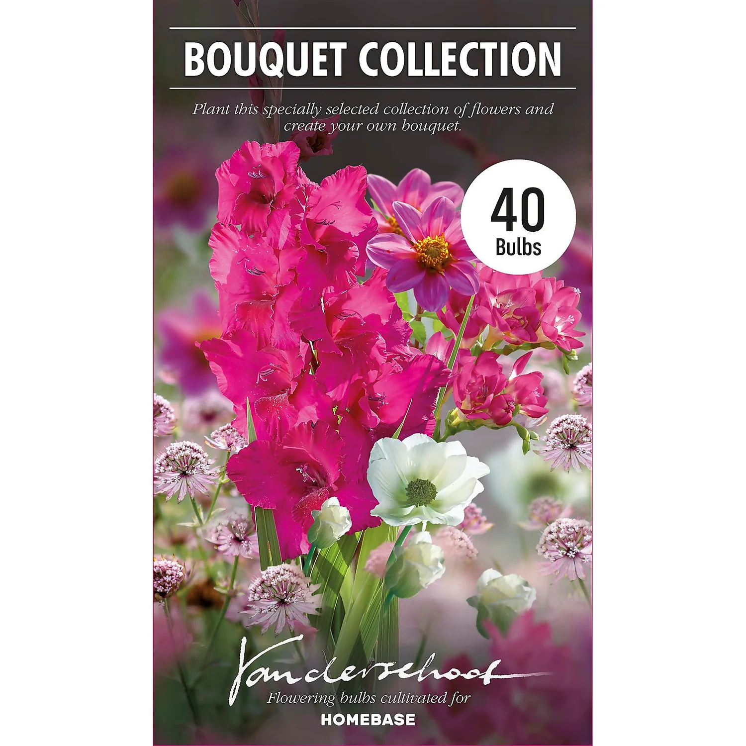 Collection Pretty Posy - Image 2